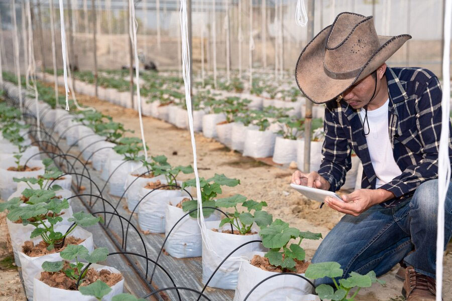 best rated plumbers san ramon