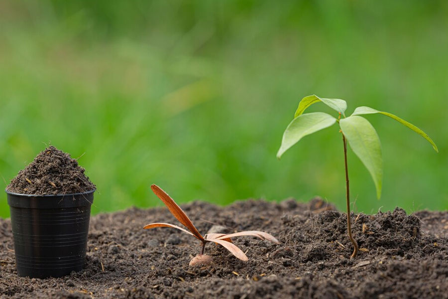 Greywater plumbing San Ramon, CA