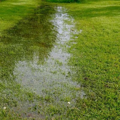 Wet Yard water leak issue