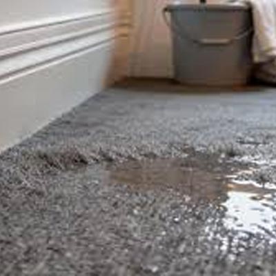 Damp Carpets