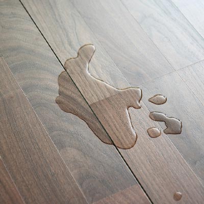 Wet Spots