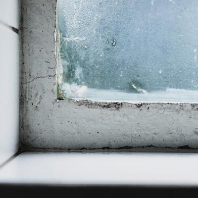 Mold & Mildew