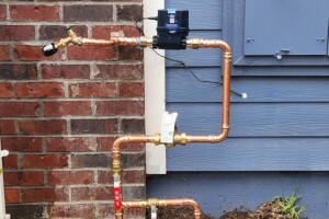 Outdoor residential backflow preventer